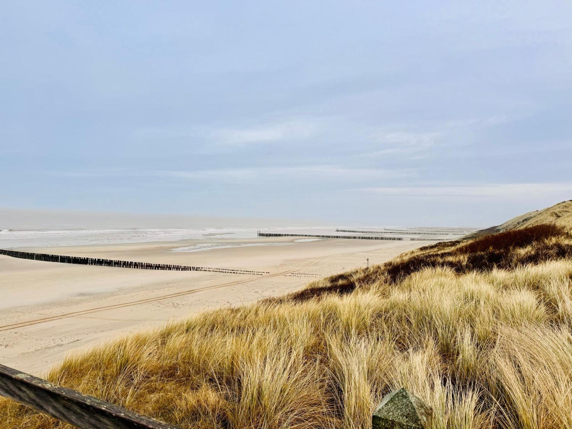 Beach & Forest Retreat -Domburg- Oostkapelle Exterior photo