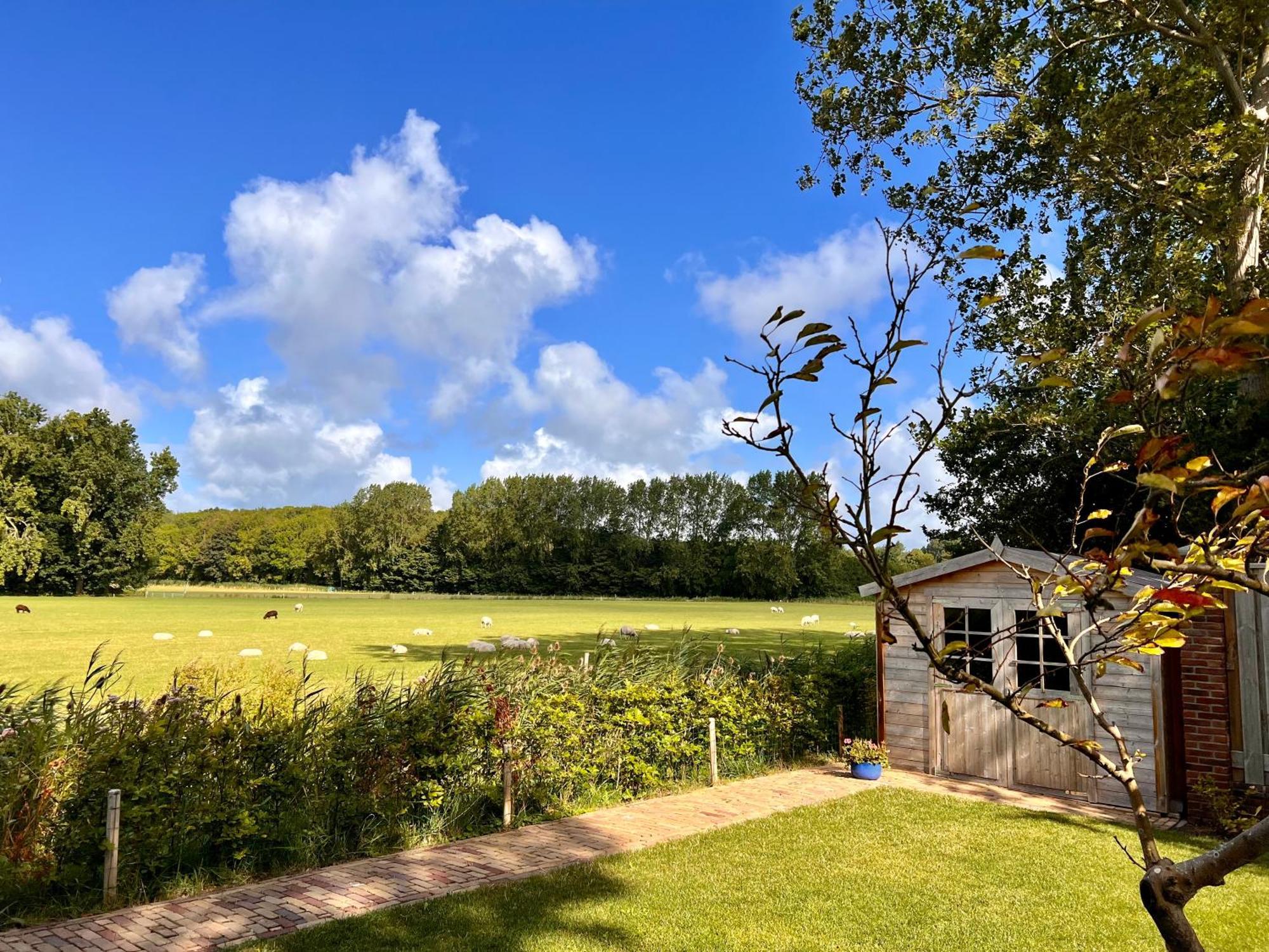 Beach & Forest Retreat -Domburg- Oostkapelle Exterior photo